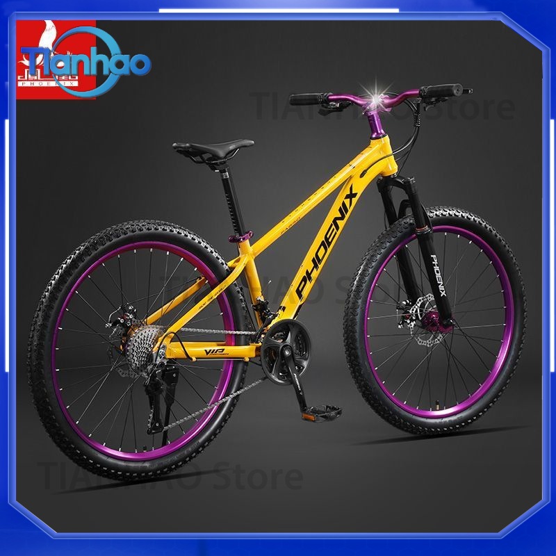 Aluminium Alloy Mountainbike m - Mountain Biking Phoenix recensie en prijs