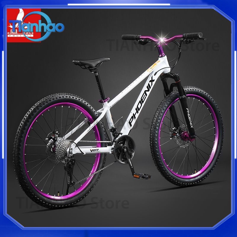 Aluminium Alloy Mountainbike m - Mountain Biking Phoenix recensie en prijs