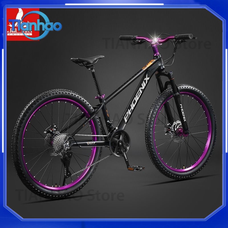 Aluminium Alloy Mountainbike m - Mountain Biking Phoenix recensie en prijs